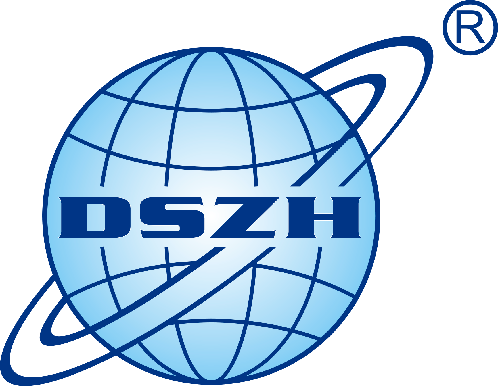 DSZH